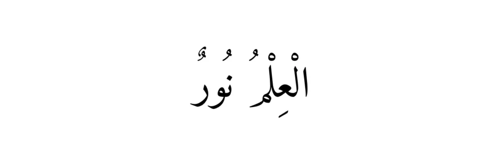amiri quran font download sample