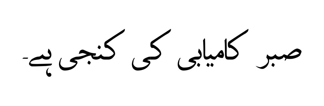 paktype naskh basic font download sample